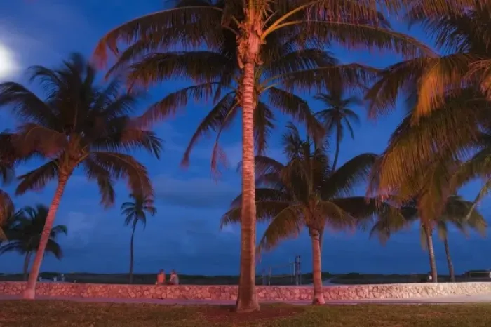 Framed Print : USA, Florida, Miami Beach: South Beach, South Beach Palms / Evening Framed Print : USA, Florida, Miami Beach: South Beach, South Beach Palms / Evening