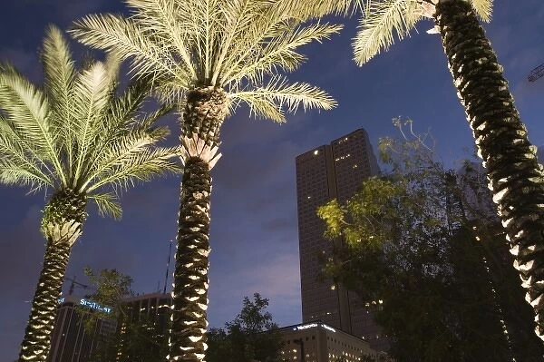 USA, Florida, Miami: Downtown, Financial District and Palms  /  Dawn