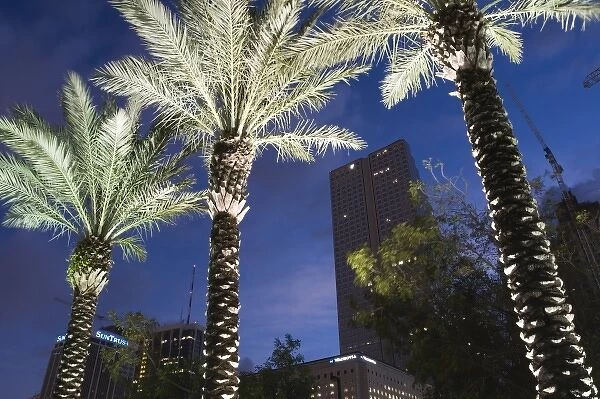 USA, Florida, Miami: Downtown, Financial District and Palms  /  Dawn