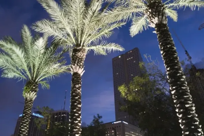 Framed Print : USA, Florida, Miami: Downtown, Financial District and Palms  /  Dawn