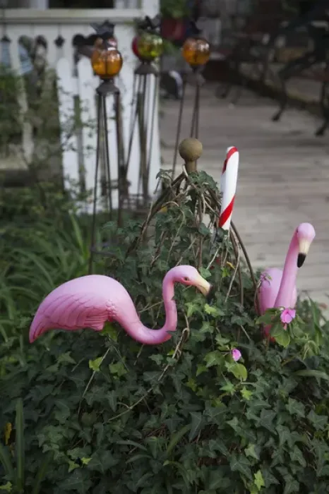 Framed Print : USA, Florida, Micanopy, oldest inland settlement in Florida, pink flamingos Framed Print : USA, Florida, Micanopy, oldest inland settlement in Florida, pink flamingos