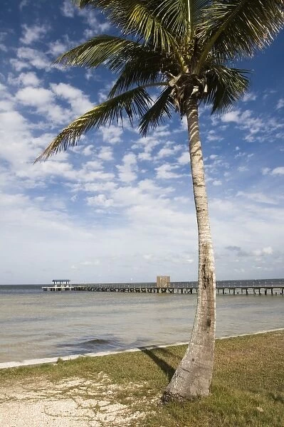 USA-Florida-Pine Island (Bokeelia)
