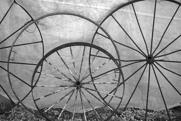 USA, Florida, Plant City, Old metal wagon wheels