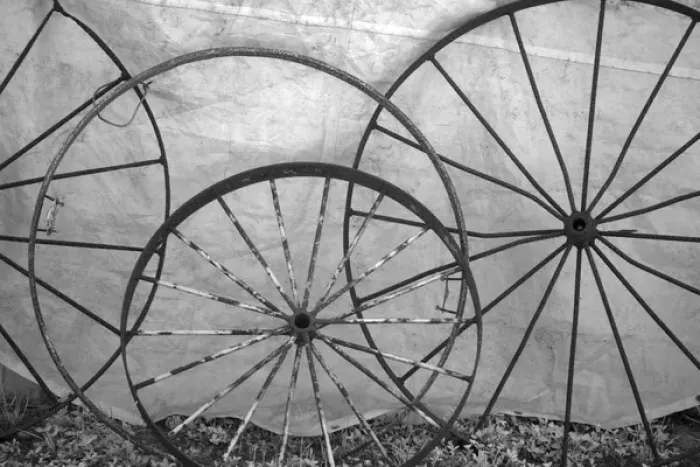 Framed Print : USA, Florida, Plant City, Old metal wagon wheels