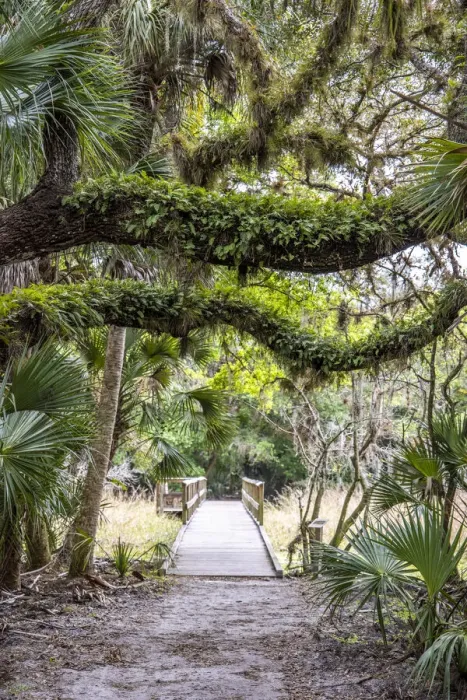 Framed Print : USA, Florida, Sarasota, Myakka River State Park
