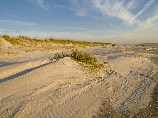 USA, Florida, St. Augustine, sand dunes
