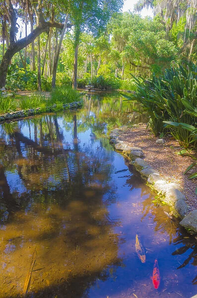 USA, Florida. Washington Oaks Gardens State Park pond
