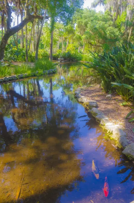 Framed Print : USA, Florida. Washington Oaks Gardens State Park pond Framed Print : USA, Florida. Washington Oaks Gardens State Park pond