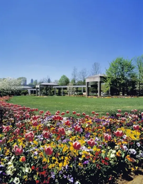 Framed Print : USA, Georgia, Atlanta. Visitors enjoy the beautiful flowers at the Botannical Gardens in Atlanta Framed Print : USA, Georgia, Atlanta. Visitors enjoy the beautiful flowers at the Botannical Gardens in Atlanta