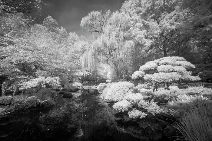 Framed Print : USA, Georgia, Ball Ground. Infrared of trees and shrubs around a pond. ©Wendy Kaveney  /  Jaynes Gallery  /  DanitaDelimont.com