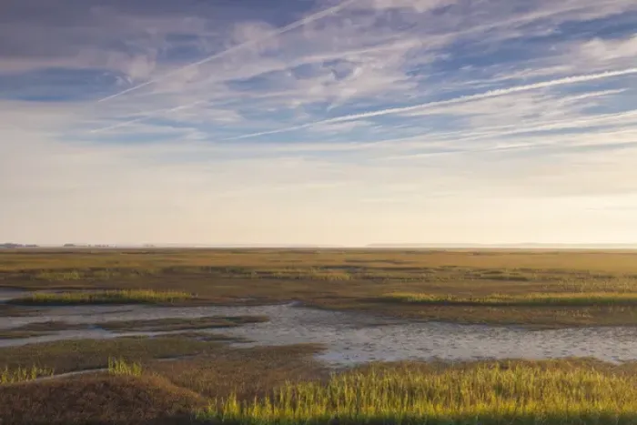 Framed Print : USA, Georgia, Brunswick, dawn view along the Bruswick River marshes