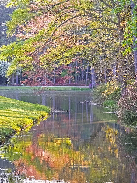 USA, Georgia, Callaway gardens springtime