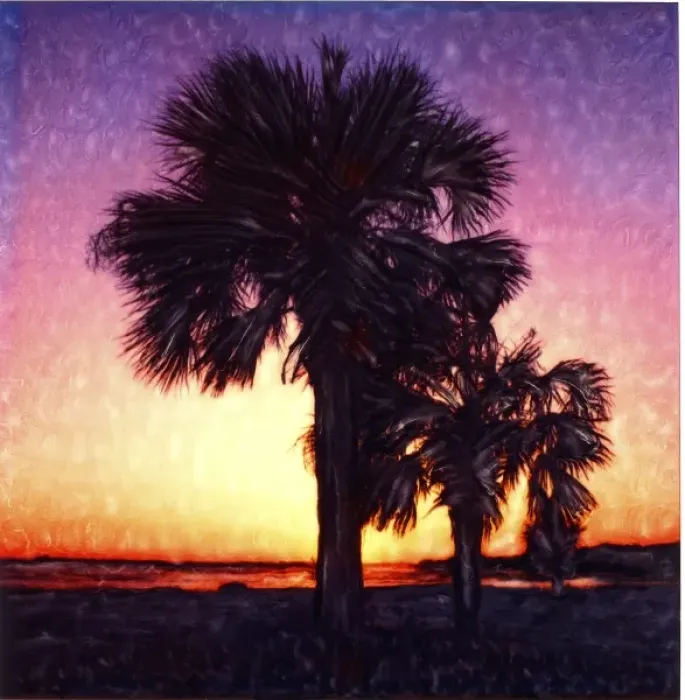 Framed Print : USA, Georgia, Cumberland Island. Sunset over palm trees. Polaroid SX70 Manipulation