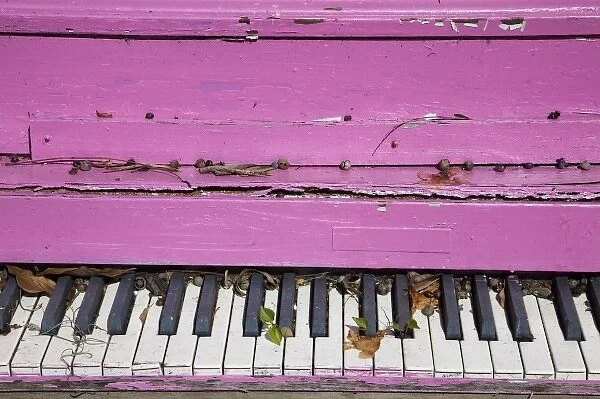 USA, Georgia, Darien. Old weathered pink piano. (PR)
