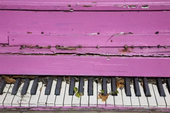 Framed Print : USA, Georgia, Darien. Old weathered pink piano. (PR)