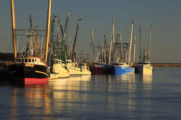 USA, Georgia, Darien. Shrimp boats docked at Darien