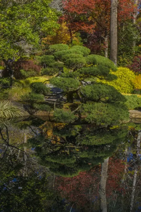 Framed Print : USA, Georgia, Jasper. Japanese Garden and pond in Gibbs Garden Framed Print : USA, Georgia, Jasper. Japanese Garden and pond in Gibbs Garden