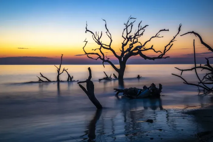 Framed Print : USA, Georgia, Jekyll Island, Sunrise on Driftwood Beach of petrified trees Framed Print : USA, Georgia, Jekyll Island, Sunrise on Driftwood Beach of petrified trees