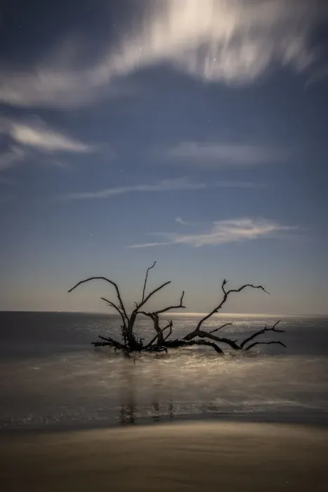 Framed Print : USA, Georgia, Jekyll Island, Sunset at Driftwood Beach and the petrified trees