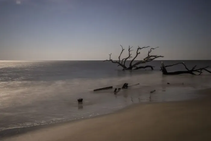 Framed Print : USA, Georgia, Jekyll Island, Sunset at Driftwood Beach and the petrified trees Framed Print : USA, Georgia, Jekyll Island, Sunset at Driftwood Beach and the petrified trees
