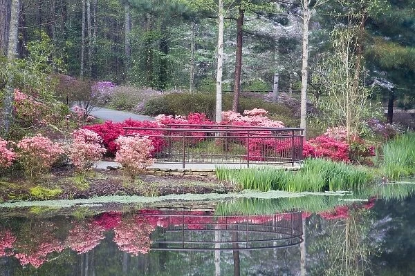 USA, Georgia, Pine Mountain. Viewing area by lake surrounded by azaleas