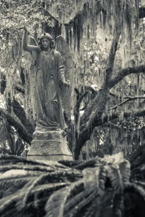 Framed Print : USA, Georgia, Savannah, Bonaventure Cemetery