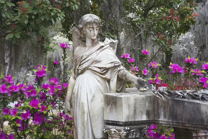 Framed Print : USA, Georgia, Savannah, Bonaventure Cemetery in the spring with azaleas in bloom Framed Print : USA, Georgia, Savannah, Bonaventure Cemetery in the spring with azaleas in bloom