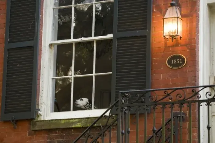 Framed Print : USA; Georgia; Savannah. Dog at window of home in Historic District. (PR) Framed Print : USA; Georgia; Savannah. Dog at window of home in Historic District. (PR)
