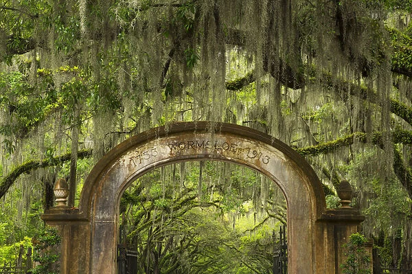 USA, Georgia, Savannah. Entrance to Historic Wormsloe Plantation