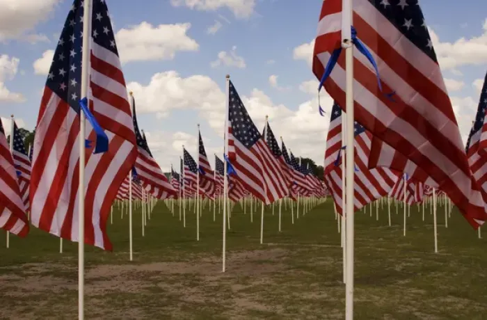 Framed Print : USA Georgia Savannah field of American Flags