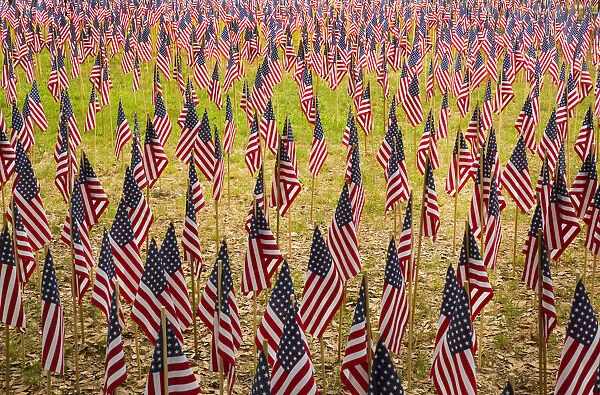 USA, Georgia, Savannah. Memorial Day celebration with American flag