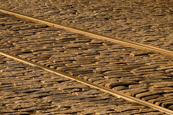 USA, Georgia, Savannah. Old railroad tracks along cobblestone at River Street
