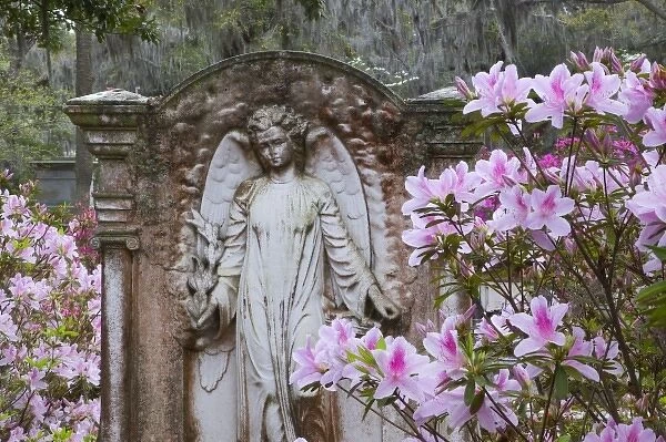 USA, Georgia, Savannah, Spring at historic Bonaventure Cemetery