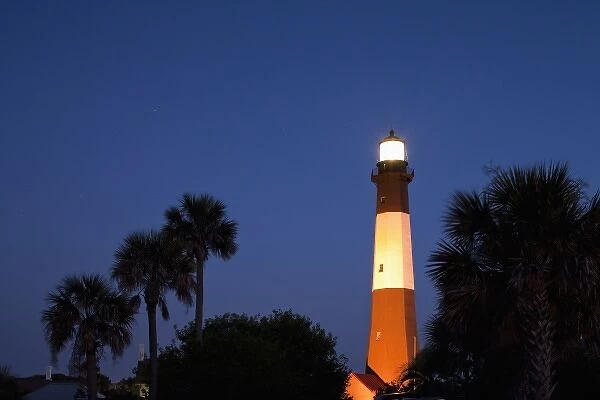 USA, Georgia, Tybee Island, Palmetto Palm trees and Tybee Lighthouse at dusk on summer