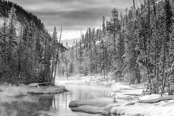 USA, Gibbon River, Yellowstone National Park. Steam rises from the Gibbon River in winter