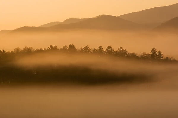 USA; Great Smoky Mountains NP; Early morning fog in Cades Cove