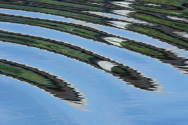USA. Green trees reflected in river with ripples on the water