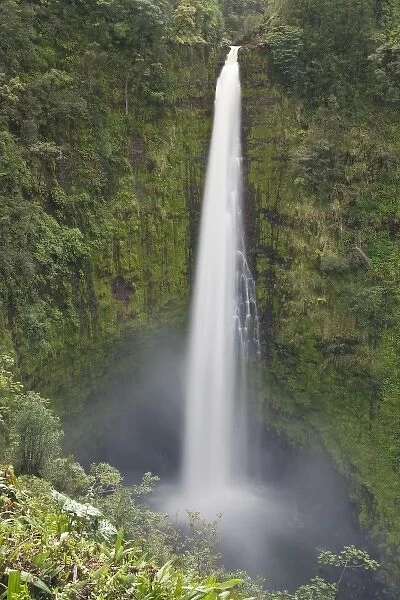 USA. Hawaii. Akaka Falls on the Big Island of Hawaii
