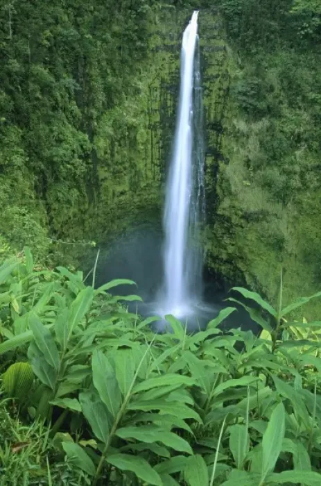 Framed Print : USA, Hawaii, Big Island, Akaka Falls near Hilo, 420 feet high Framed Print : USA, Hawaii, Big Island, Akaka Falls near Hilo, 420 feet high
