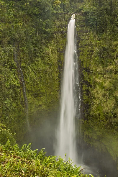 USA, Hawaii, The Big Island, Akaka Falls State Park, Akaka Falls. Scenic of single, long waterfall