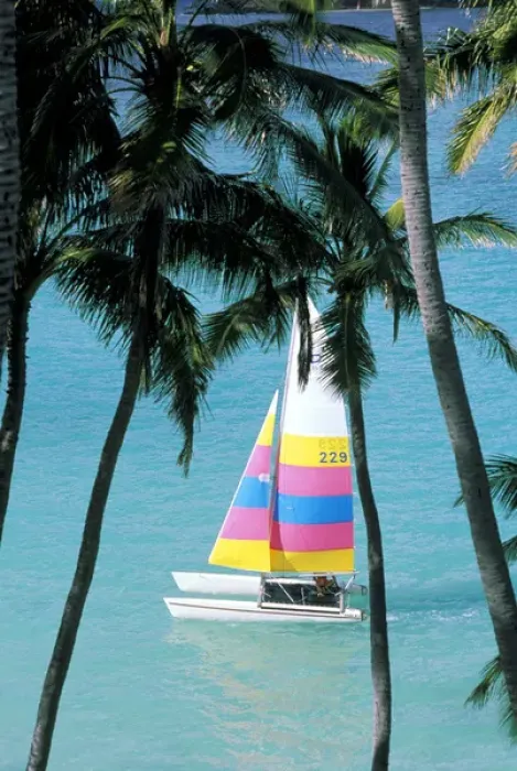 Framed Print : USA, Hawaii. Catamaran and palm trees