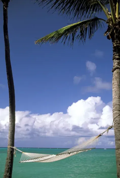 Framed Print : USA, Hawaii. Hammock and palms next to the sea Framed Print : USA, Hawaii. Hammock and palms next to the sea