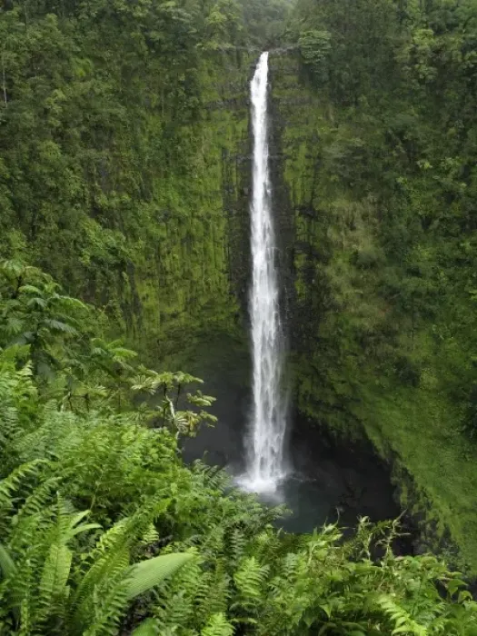Framed Print : USA, Hawaii, Hilo. View if Akaka Falls Framed Print : USA, Hawaii, Hilo. View if Akaka Falls