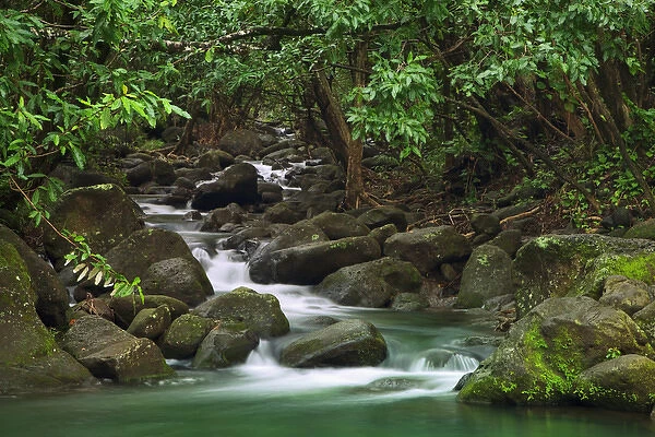 USA, Hawaii, Kauai. Creek flowing from a rainforest