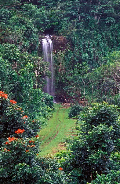 USA, Hawaii, Kauai Island, Beautiful waterfall in the lush wildlands