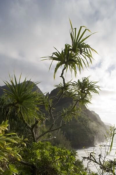 USA, Hawaii, Kauai Island, Na Pali Coast State Park, Setting sun lights tropical