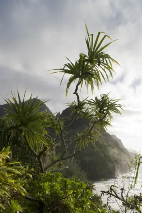 Framed Print : USA, Hawaii, Kauai Island, Na Pali Coast State Park, Setting sun lights tropical