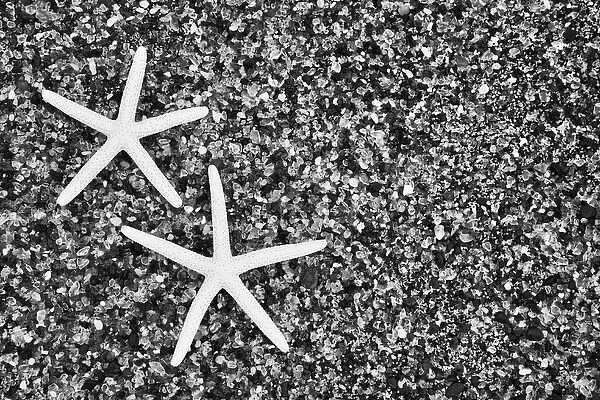 USA, Hawaii, Kauai. Starfish skeletons at Glass Beach