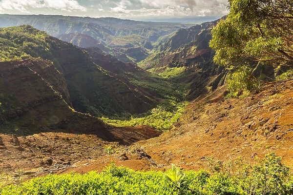 USA, Hawaii, Kauai. Waimea Canyon landscape