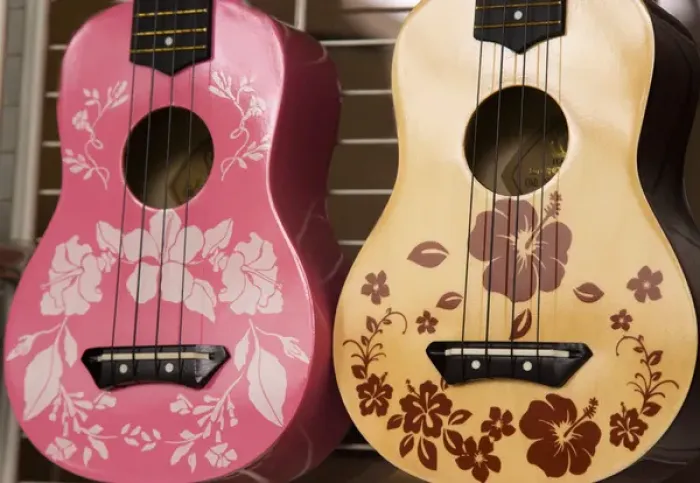 Framed Print : USA, Hawaii, Kona. Two painted ukuleles on display in shop. Credit as: Wendy Kaveney Framed Print : USA, Hawaii, Kona. Two painted ukuleles on display in shop. Credit as: Wendy Kaveney